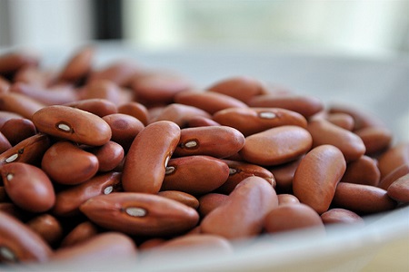 9 вкусни храни, които е полезно да консумирате ежедневно