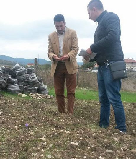 Иранци искат да правят фабрика за пакетиране на шафран и подправки в Кърджали 