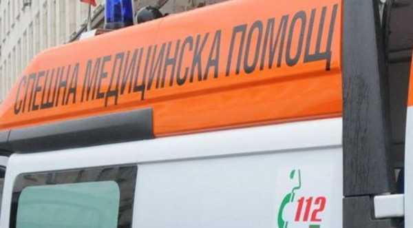 Пенсионерка изяде кактусите в дома си, едва я спасиха