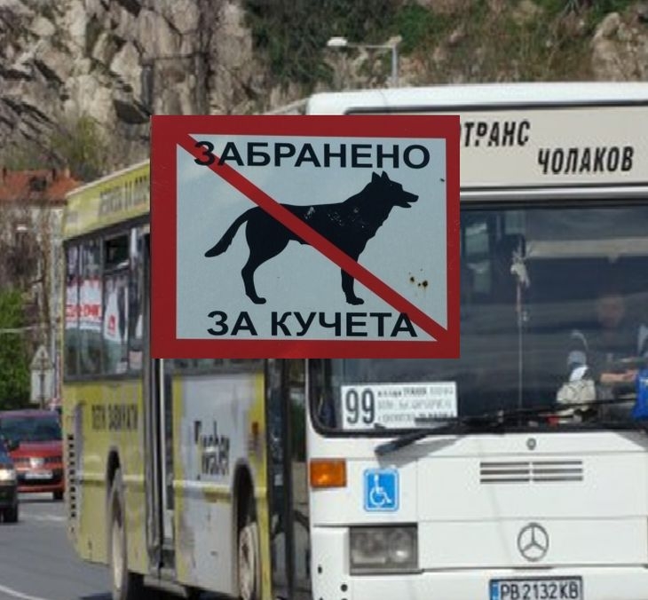 Безумията нямат край! Кондуктор изхвърли куче водач от автобус, било огромно колкото куфар!