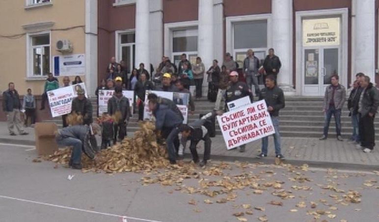 Бесни производители: Радан да си стяга багажа и да идва да бере тютюн!