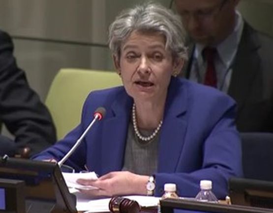 Бокова с тежки думи: Свидетели сме на безпрецедентни атаки, които се случват наред с голяма хуманитарната криза