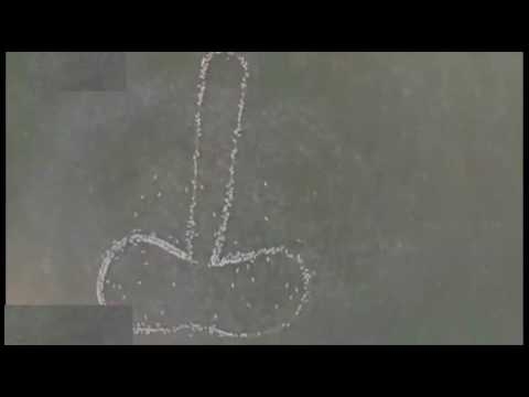 Фермер подреди овцете си във формата на фалос и ги засне с дрон (ВИДЕО)