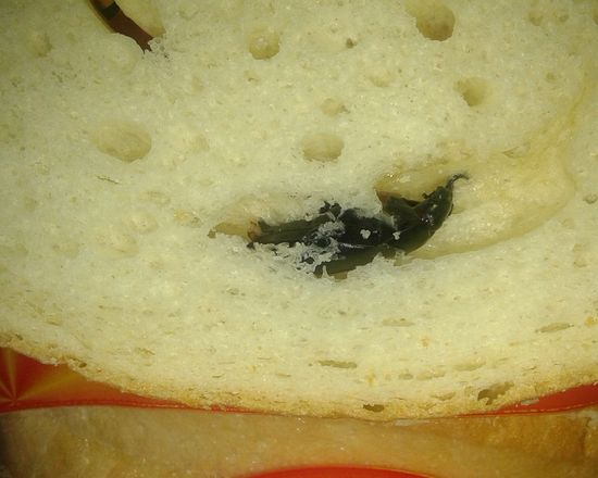 Домакиня си купи хляб и остана в потрес след отварянето му (СНИМКИ)


