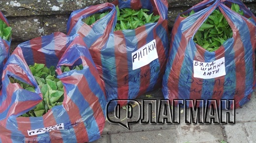 На пазара в Бургас: СлаТки лимонки, ИдИал и ГлаТки камби (СНИМКИ)