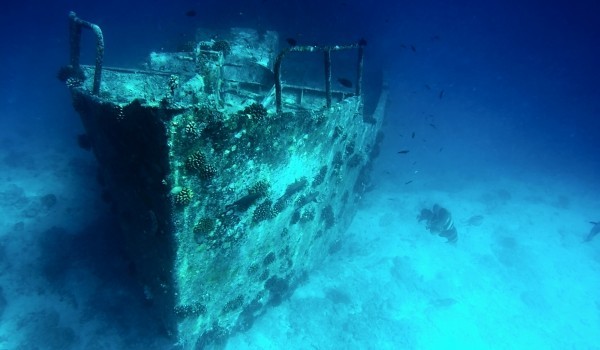 Находка! Откриха съкровище на кораб, потънал преди 1600 години в Средиземно море