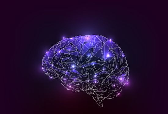 7 съвета как  да поддържате мозъка си млад