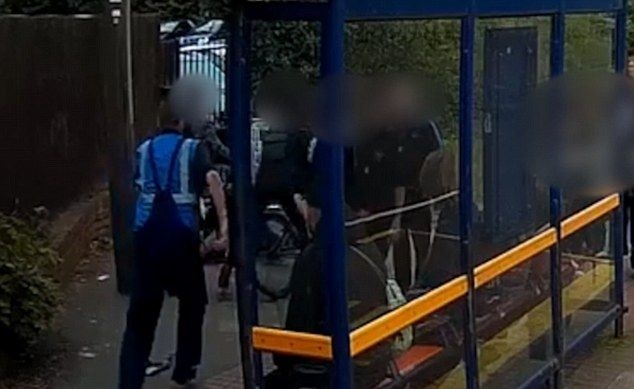 Вижте как шофьор на камион раздаде набързо улично правосъдие и спаси момче от банда тийнейджъри (СНИМКИ/ВИДЕО 18+)
