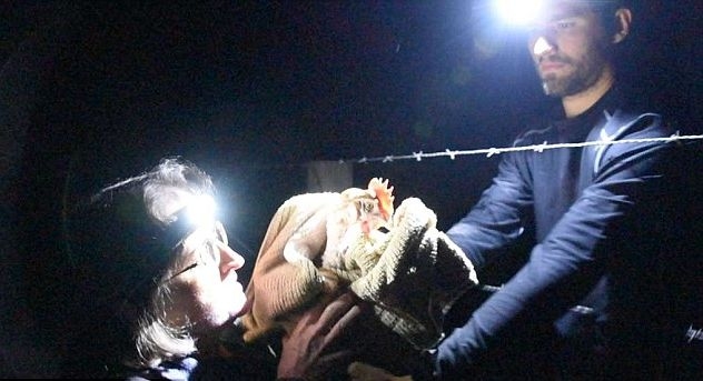 ВИДЕО и СНИМКИ показаха шокиращата истина за така наречените щастливи кокошки