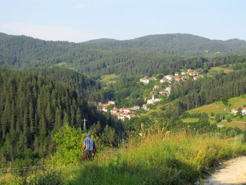 Две млади жени от Смолян бяха на купон, после влязоха в гора и.... 