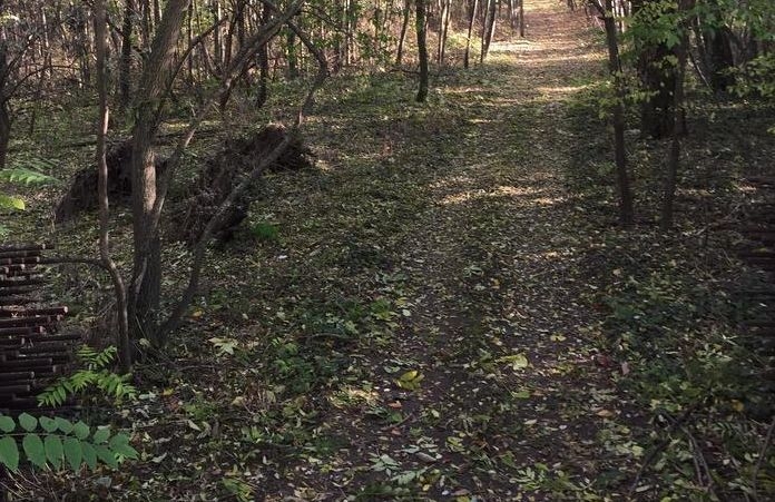 Голяма трагедия разтърси Царево! Откриха баш майстора Данчо безжизнен в гората