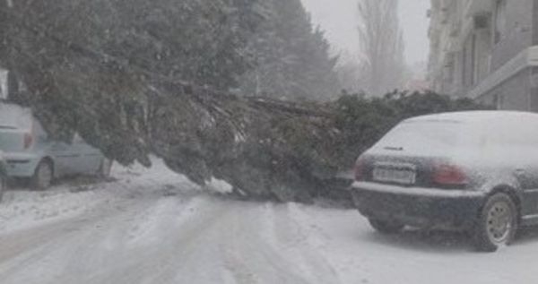 Във Варна е страшно! Вижте защо трябва да си стоите вкъщи, ако ви е мил животът! (СНИМКИ)