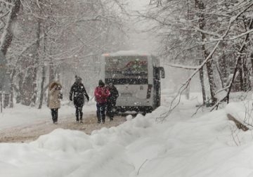 Изненада! Тоновете луга не топят снега