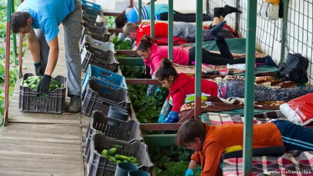 Наемат сезонни работници извън ЕС до 90 дни