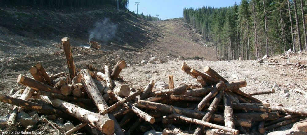 WWF се провалиха в кампанията за Пирин