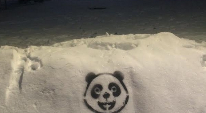 Уникално! Центърът на София осъмна с... (СНИМКИ)