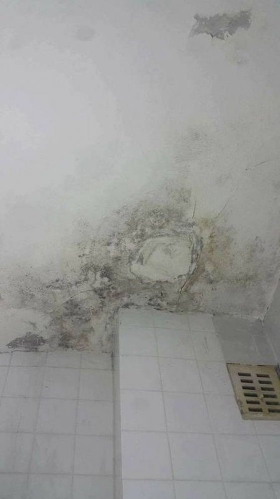 Болница във Варна е като от филм на ужасите: Стени оплискани с кръв, стоножки в стаите, лаври и топки с косми в ъглите! (СНИМКИ)