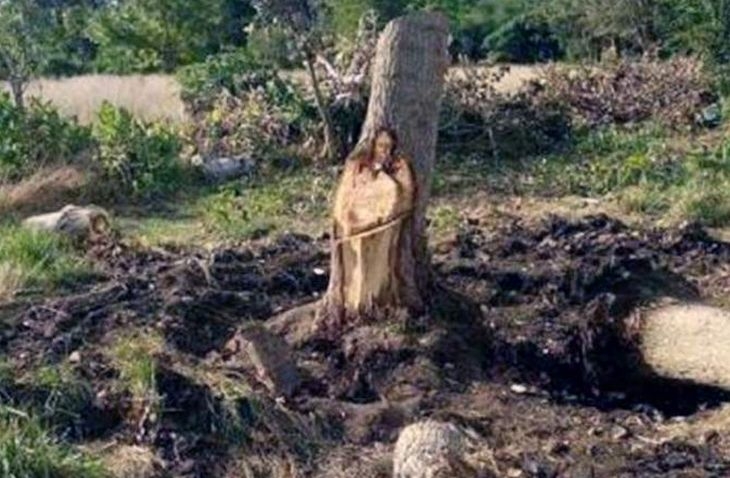 Знамение: Ликът на Исус Христос се появи върху ствол на дърво (ВИДЕО)