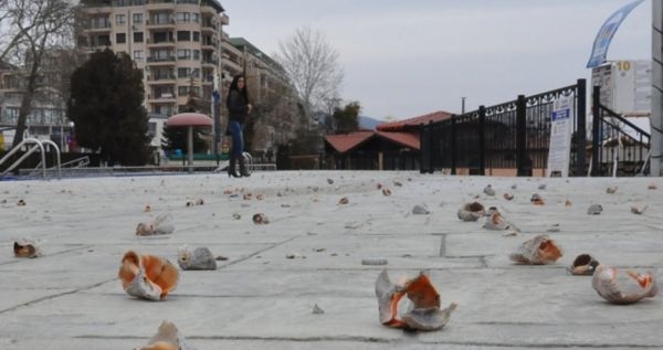 Нещо много странно и опасно се случва в Златни пясъци (СНИМКА)