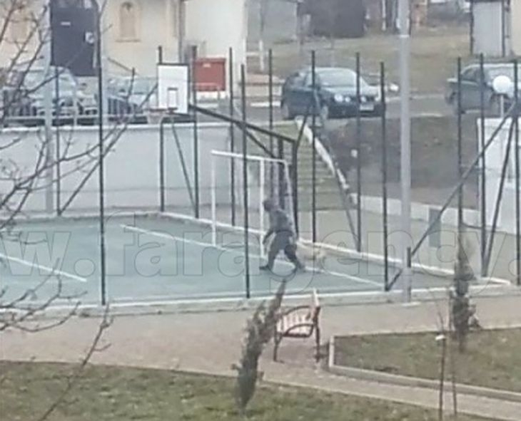 Бургазлия взриви социалната мрежа с методите, с които тренира кучето си