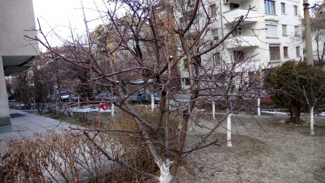 Баба Марта дойде в Пловдив още през февруари (СНИМКИ)