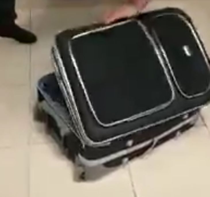 Служители на летище се натъкнаха на нещо изключително странно в багажа на пътник (ВИДЕО)