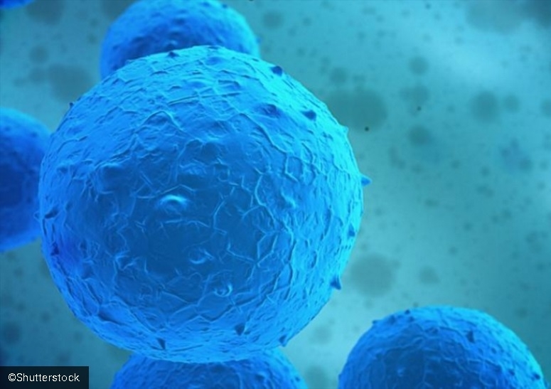 Учени от Imperial College London: Трансплантация на стволови клетки може да „замрази“ множествената склероза