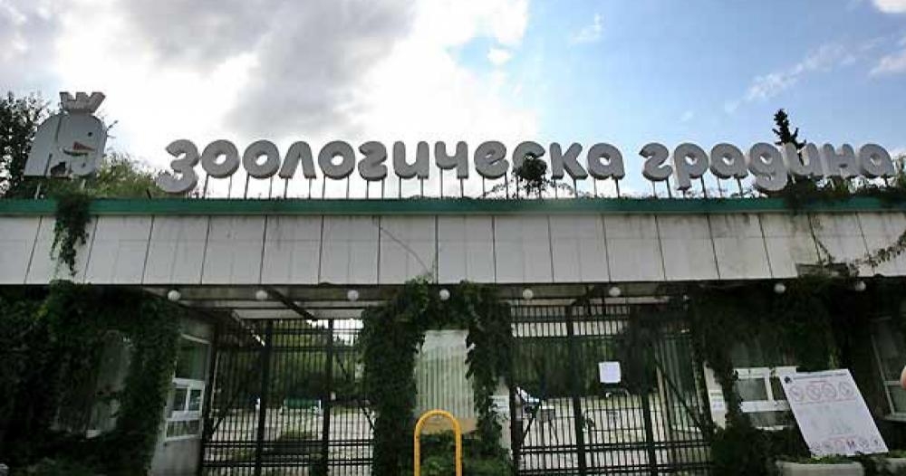 "Говорещият с кучета" Сизър Милан отива в столичния зоопарк, за да... 