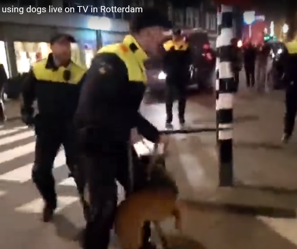 Протурски протестиращи се биха с полицията на Нидерландия (ВИДЕО)