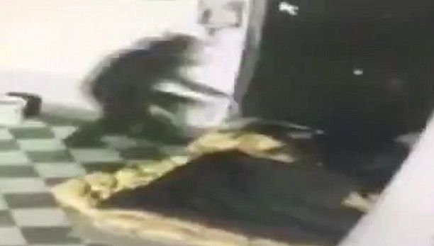 Вижте как гаменът залива бездомника с бензин и го изгаря жив (ВИДЕО 18+)