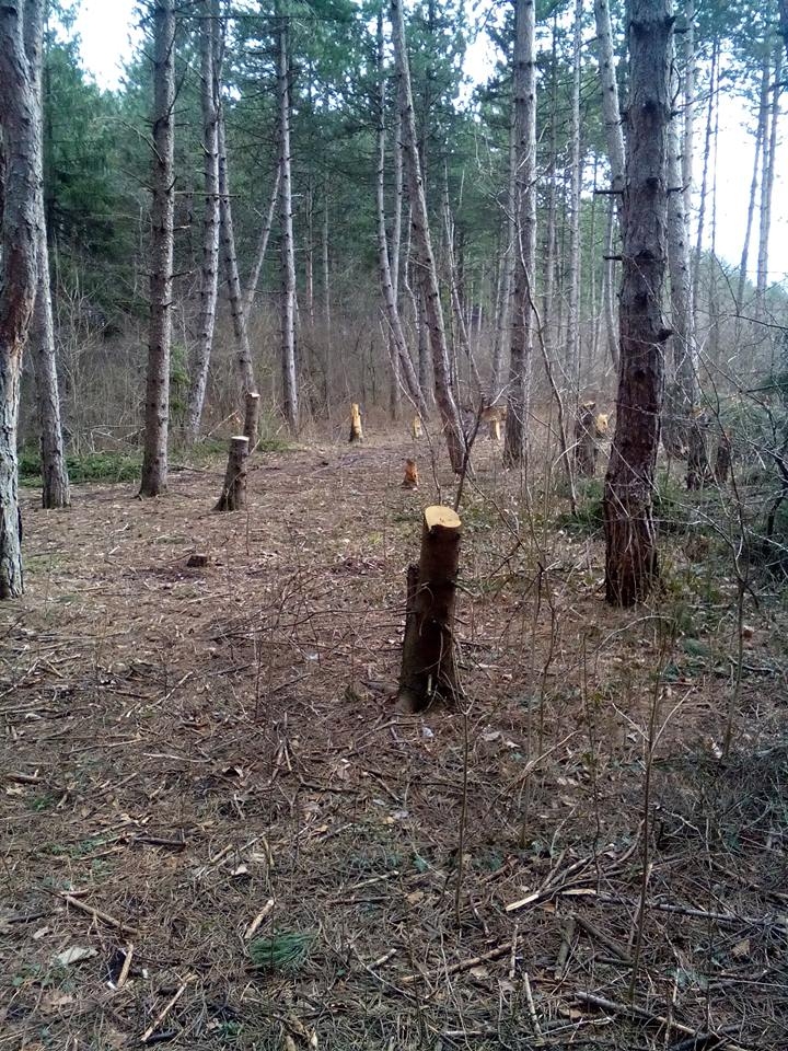 Нова сеч в Западен парк вбеси софиянци (СНИМКИ)