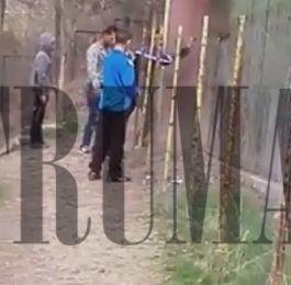 Гавра в благоевградския зоопарк! Роми бият и замерят лъва и маймуната с камъни, охраната е безсилна (ВИДЕО)