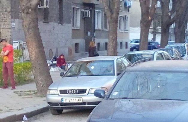Бездомна старица умили пловдивчани, в мрежата се чудят как да й помогнат  