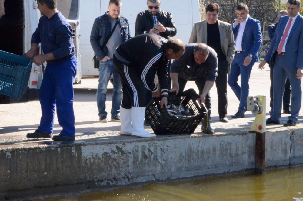 Скоро водата в Гребната в Пловдив ще е супер чиста