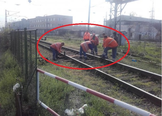 Ех, ако имаше за всички такава държавна работа... Аз се правя, че работя, те се правят, че ми плащат (СНИМКИ)