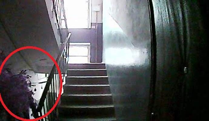 Те имаха камера за наблюдение във входа, но това, което е уловено, смрази кръвта на обитателите (СНИМКИ)