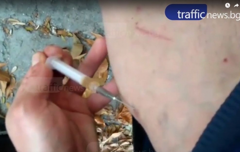 Пловдивските пандизчии смениха хероина с бонзай (ВИДЕО 18+)