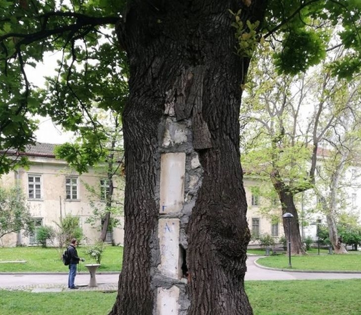 Само в БЛИЦ! Цял интернет се чуди и се мае какво е това чудо (СНИМКИ)