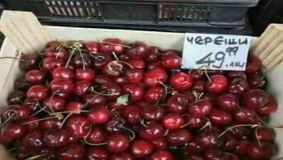 Пуснаха череши на... лизинг (СНИМКА)