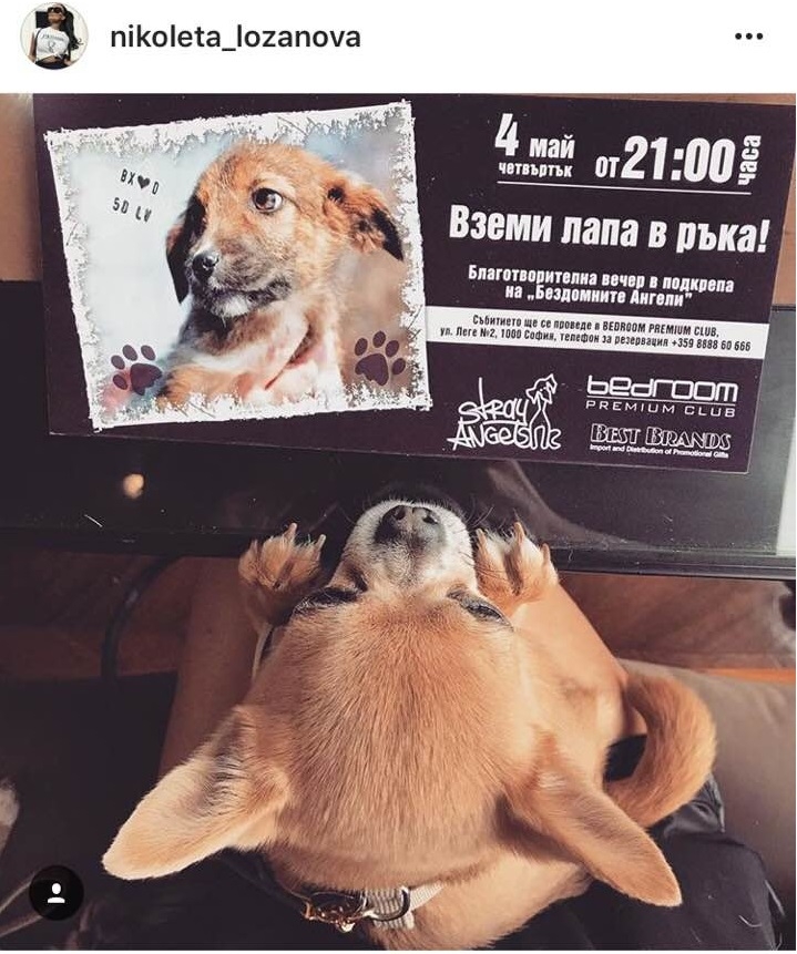 Студенокръвната Николета разтопи сърцата на всички с този надпис на потничето си! (ФОТО)