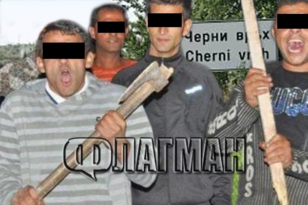 В Бургаско пропищяха от бандата на „Грапавите”, бият и крадат наред