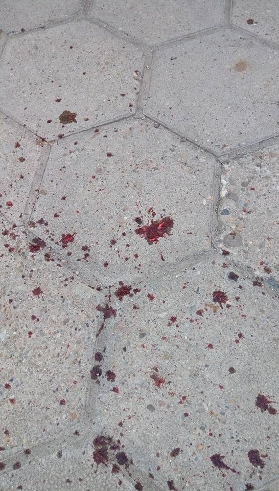 Първо в БЛИЦ! Маги Халваджиян изригна и показа потресаващи СНИМКИ (18+)