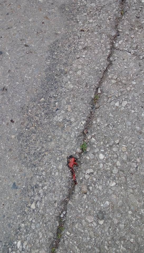 Първо в БЛИЦ! Маги Халваджиян изригна и показа потресаващи СНИМКИ (18+)
