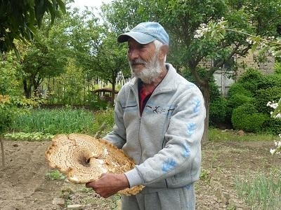 Земеделецът бай Георги откри нещо изумително в двора на началното школо в Козлодуй (СНИМКА)