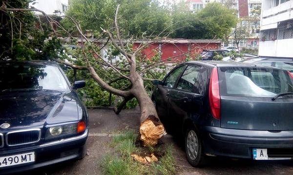 Силният вятър направи големи поразии в Бургас (СНИМКИ)