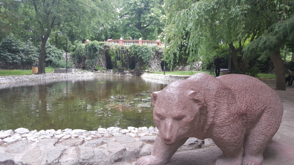 Красота! Златни рибки плуват в Цар-Симеоновата градина (СНИМКИ)