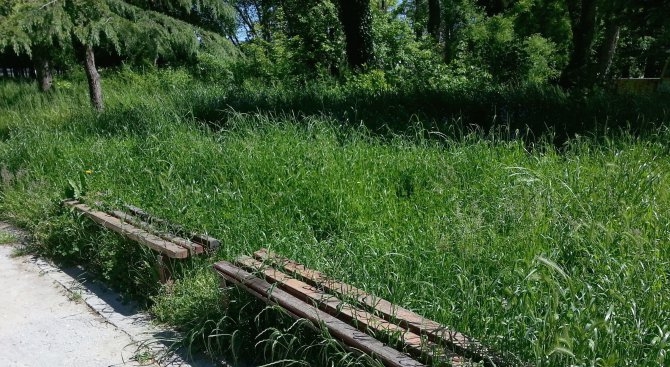 Аспаруховият парк във Варна заприлича на джунгла (СНИМКИ)