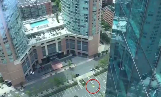 Ужас! Морски тюлен скочи с парашут по време на събитие и загина пред очите на всички (ВИДЕО)