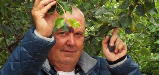 Истинско чудо се роди в двора на Ердуан Яшар от Момчилград (СНИМКИ)
