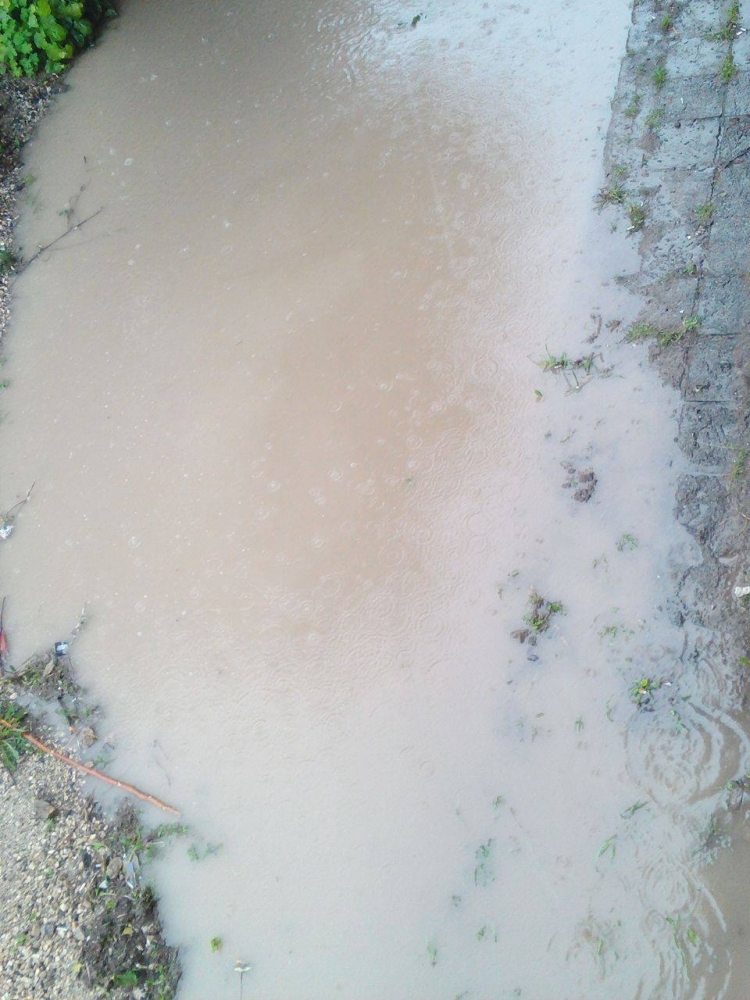 В 21 век: Врачани газят във вода и кал, за да стигнат дo домовете си (СНИМКИ/ВИДЕО)